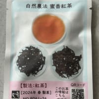 台湾紅茶テイスティング
