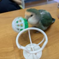 少し風がありました😌