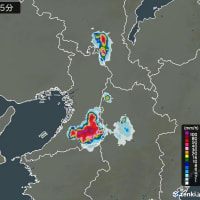 またもや大雨　