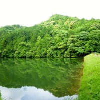 桑谷山