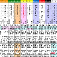 【ストラテージュ】好調＋成長で逆転狙う！ 6/29函館2R・枠順＆予想