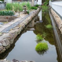 笠岡市の新しい歴史観光スポット 国登録記念物 清水氏庭園を訪ねました！