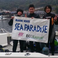 愛媛県・平碆ツアー