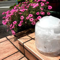 氷柱でお出迎え小浜こく亭