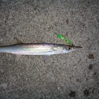 つ抜けダース