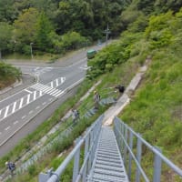 令和７年５月例会登山　「大茶臼山」