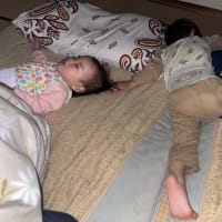 子供の疲労は子供が癒してくれる