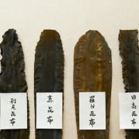 日本の食材　美味い不味いログ　～　４大素材出汁