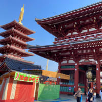 浅草ほおづき市