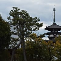 梅の香り漂う奈良・薬師寺