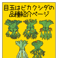 マンガZINE「月刊ビカクシダ」を販売します