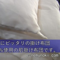 木綿わた掛け布団のご依頼まことにありがとうございます。