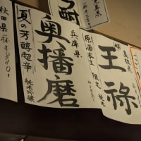 大阪便り～飲み屋めぐり
