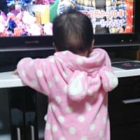 生後8ヶ月