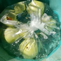 ほぼ出穂しました＆ひょうたん作業