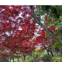 今日いち-2025年4月28日
