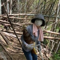 「たけのこ掘り」
