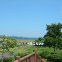2012年7月14日の一枚