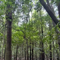 憧れの地、訪問の旅二日目。