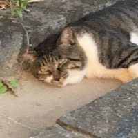 受験生の不登校