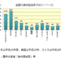 食料自給率が異常に少ないのに大量廃棄！歴史に学ばない日本は確実に有事対応できない