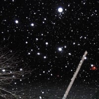  令和6年3月9日・02：00時点・激しく降る雪に・・・