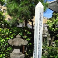 水子地蔵が祀られ！杉田玄白（江戸時代の偉人）の墓も有る！浄土宗・栄閑院（通称猿寺）！