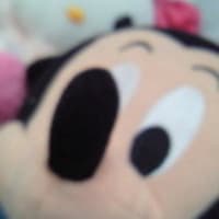 和風な言葉 まるがいっぱい ひまわりがいっぱい