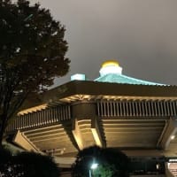 武道館🎵  初体験記