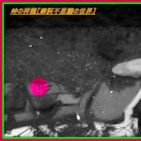 🐉🌈〖日蓮大聖人〗由来の清流に【🙏菩薩様）出現❢❢