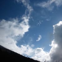 癒しの景色