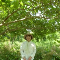 自然農　川口由一さんの三回忌　2025年6月9日