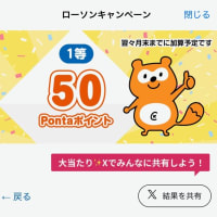 「ポイ活」の一端に触れる