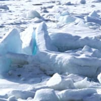 流氷の海 オホーツク（知床半島とその周辺） №４