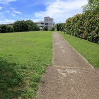 ぽかぽか広場（世田谷区）