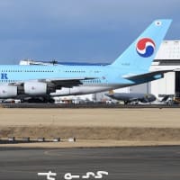 大韓航空