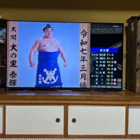 大相撲夏場所 大の里優勝！そして横綱へ！