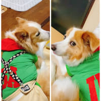なんやかんや〜
