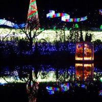 あしかがフラワーパークイルミネーション