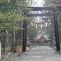ヘルシーウォーキング㉘ in桜の名所「九十九山」と天塩川、つくも水郷公園・士別ウォーク