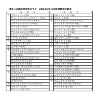 2025年津之江公園自然再生エリア植物観察会