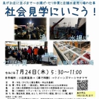 夏休みの社会見学イベント！「小田原寺子屋スクールII」主催、魚がお店に並ぶまで！参加者募集中！