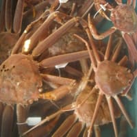 6月22日は「蟹の日」