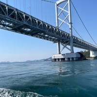 徳島海
