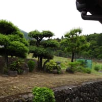 子育て