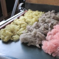 羊と秋田をつむぐ展