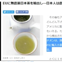 小池百合子は移民一千万人計画のリーダーらしい？【自民党移民議連の会長】