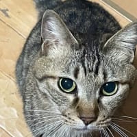 もう6月