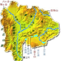 徳島セギも、眠らない