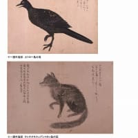 第５回　村上島之允のこと-蝦夷地を知り尽くした男- Ⅲ　